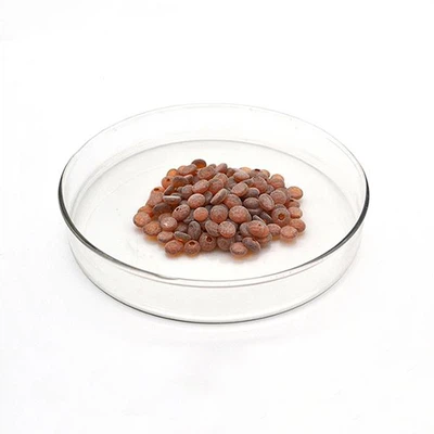 productcate-600-600 Rubber Antioxidant RD
